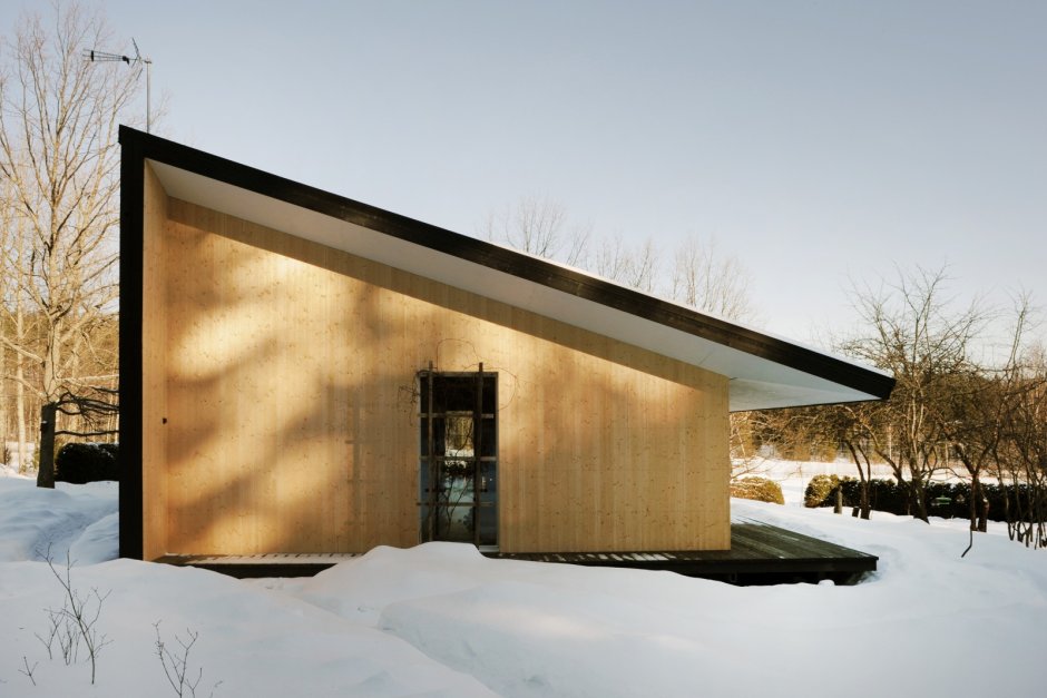 Необычный дом с односкатной крышей