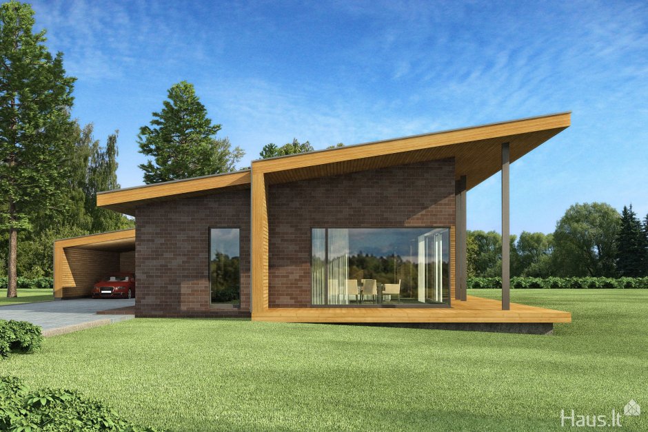 Одноэтажный барнхаус односкатный