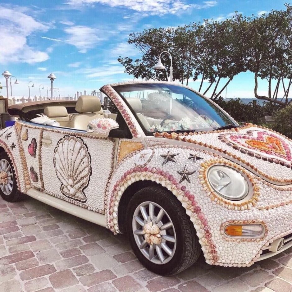 Ракушка для автомобиля