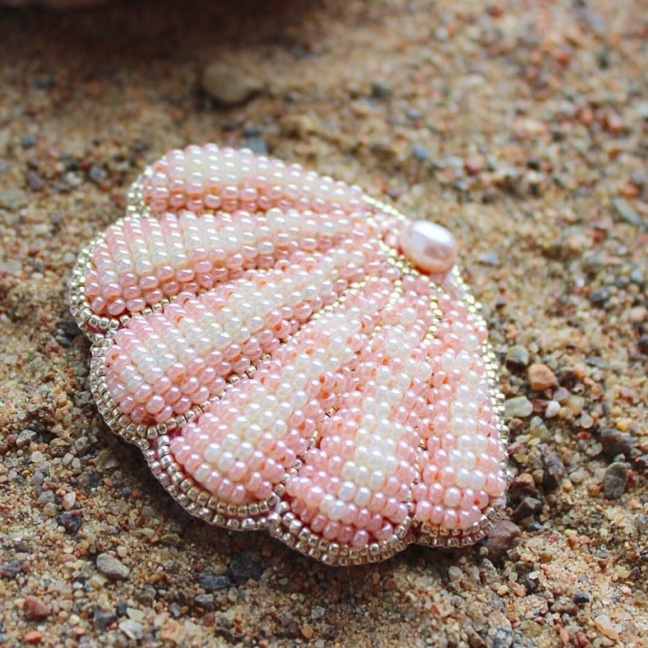 Ракушки Клэм giant