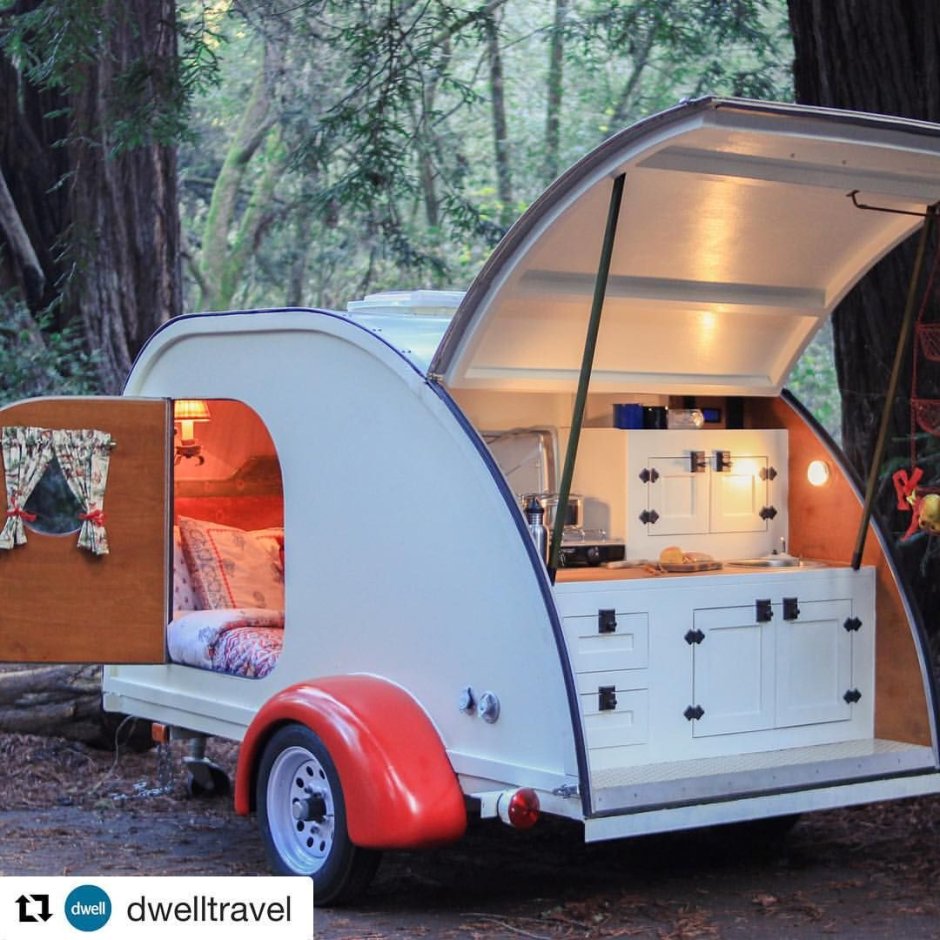 Ракушки черного моря