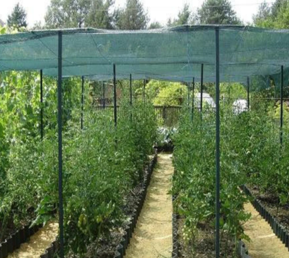 Сетка затеняющая 3x100