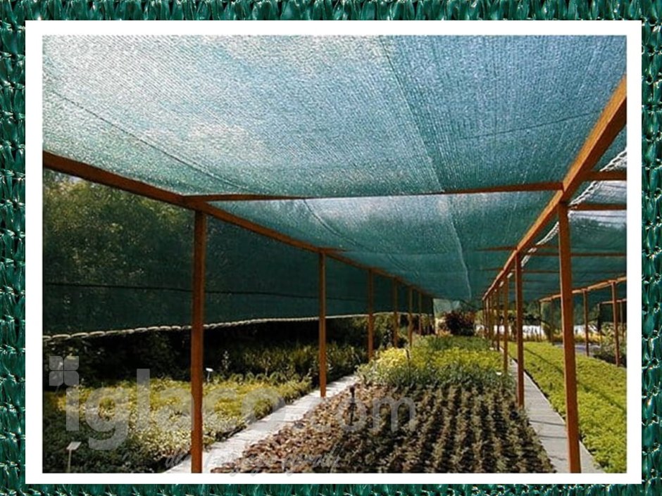 Маскировочная сетка 2*50м 80% затенения