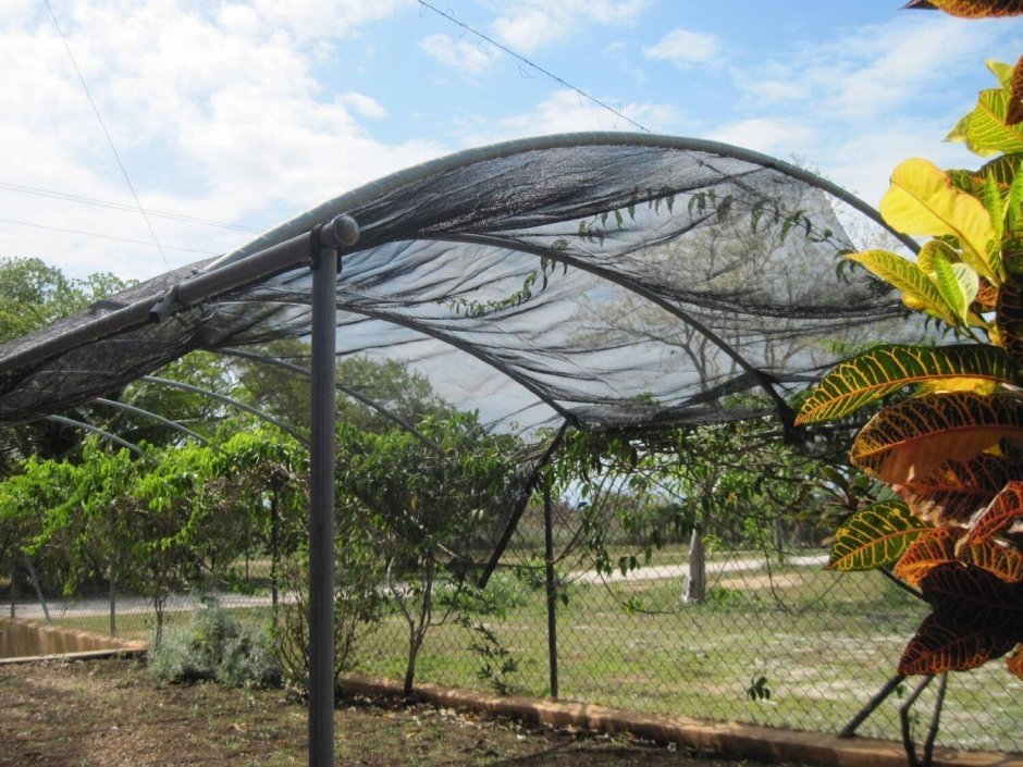 Сетка для затенения теплиц