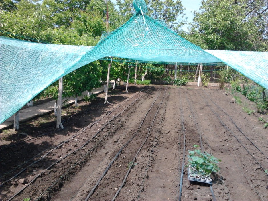 Навес из пластиковых труб