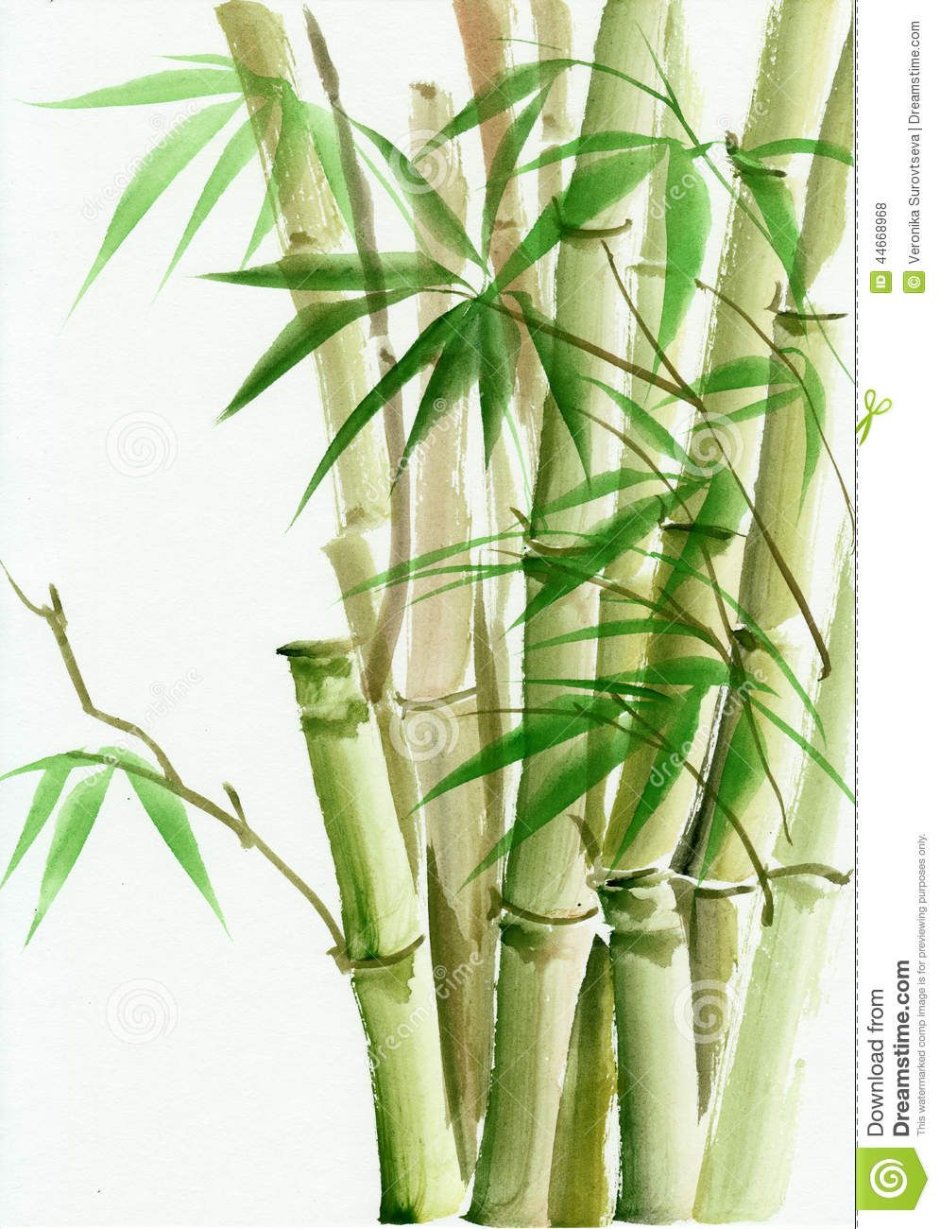 Обои с бамбуковым рисунком