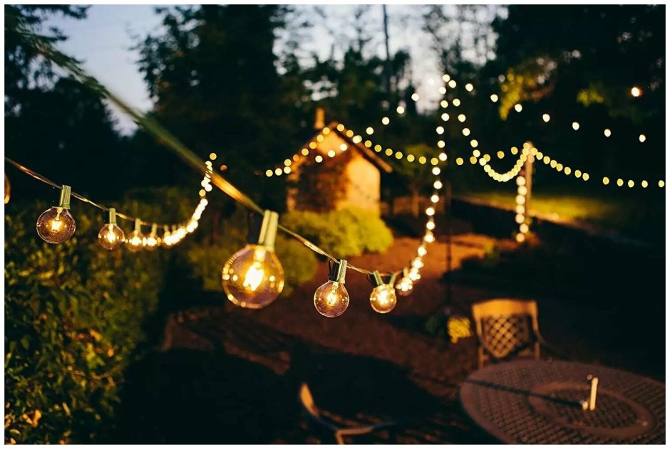 Гирлянды в лесу