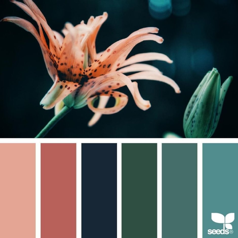 Палитра Seeds терракотовый