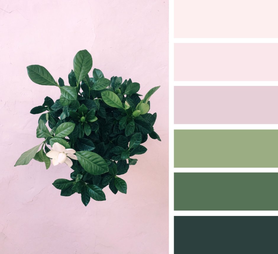 Сочетание зеленых оттенков