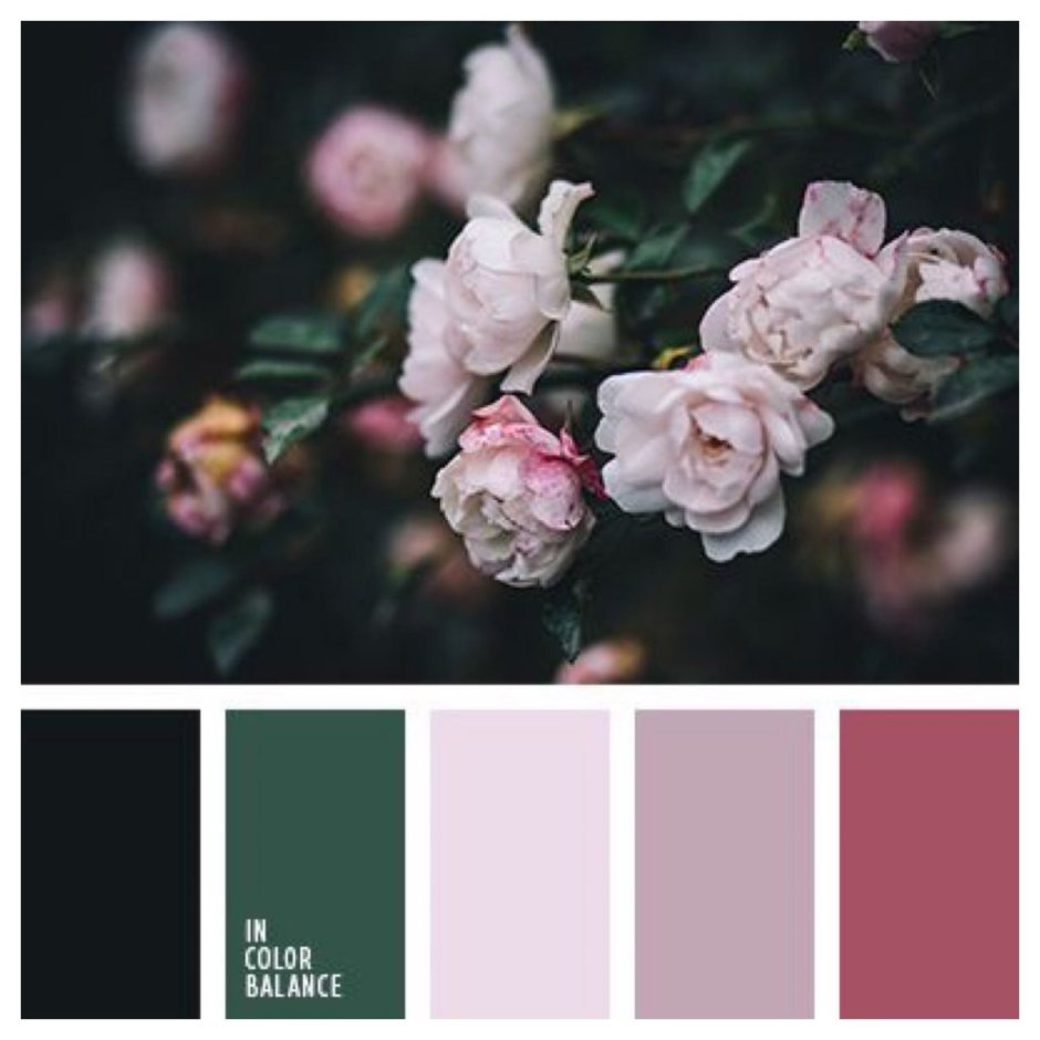 Розовый и черный сочетание палитра