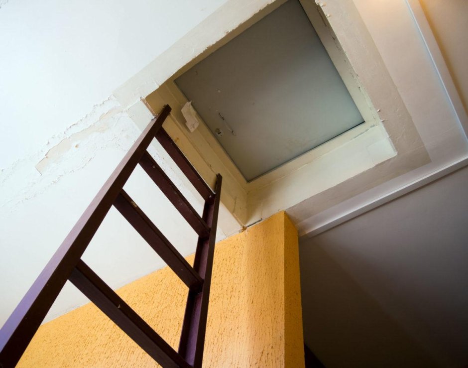 Роллетные ворота Дорхан