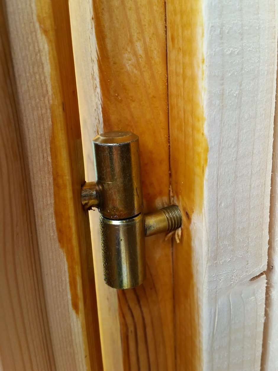 Петля накладная "бабочка" "APECS" (10/100)