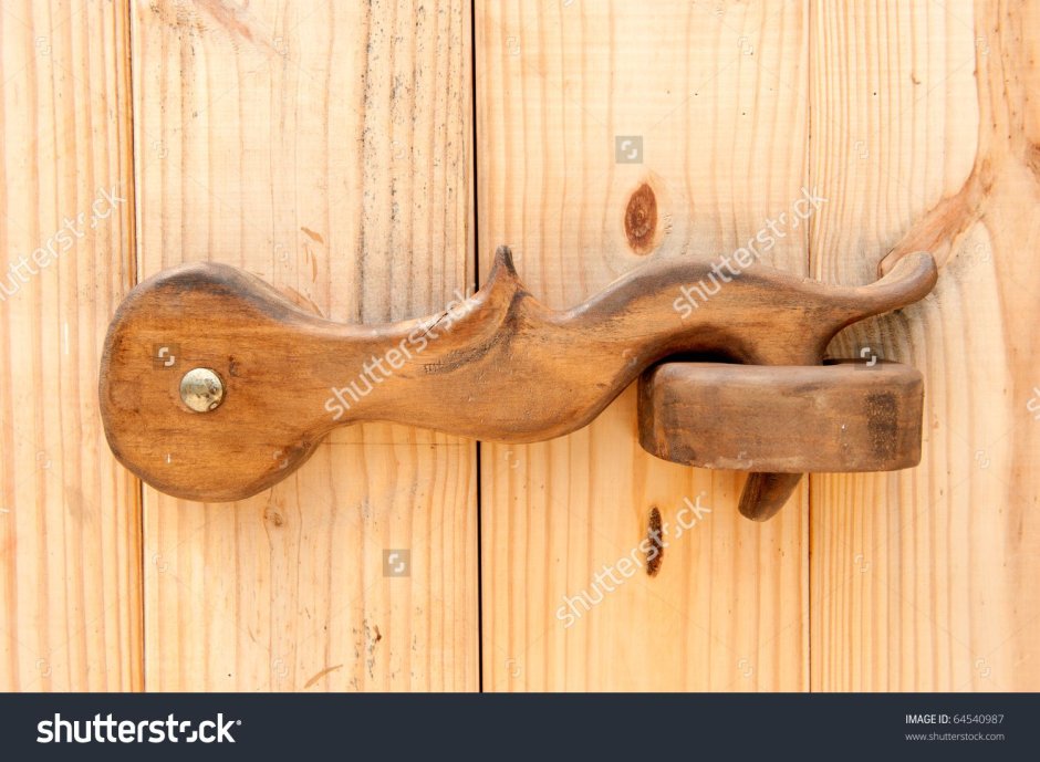 Кованые жуковины на двери