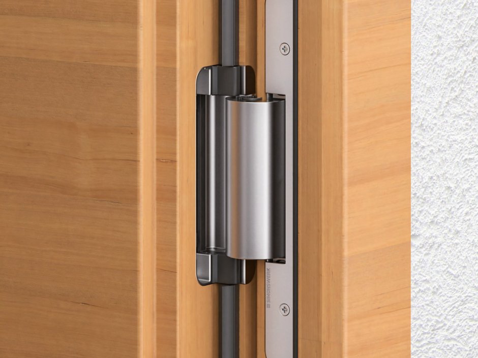 Кованые жуковины на двери