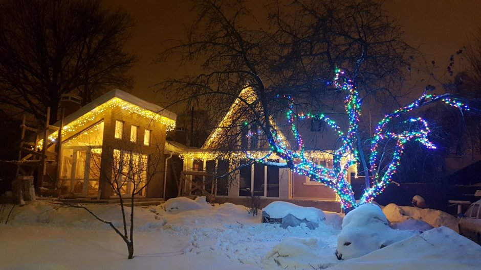 Новогодняя иллюминация деревьев