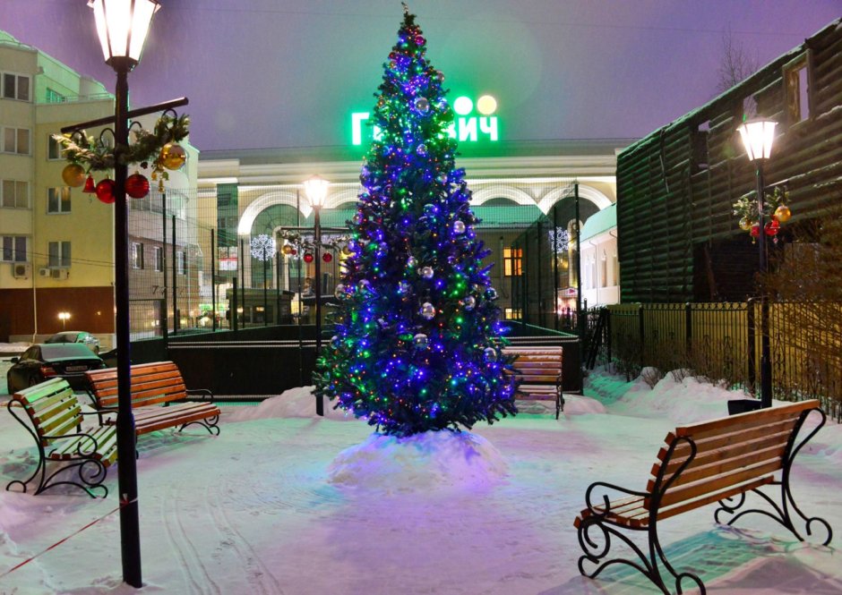 Новогодняя ель во дворе