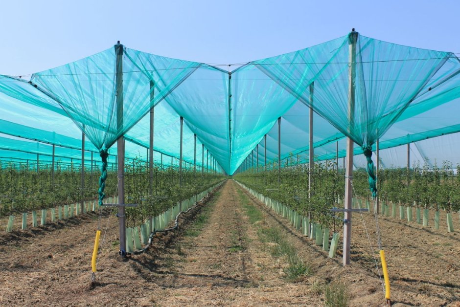 Противоградовая сетка