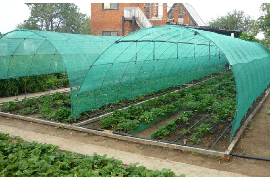 Сетка затеняющая 35%