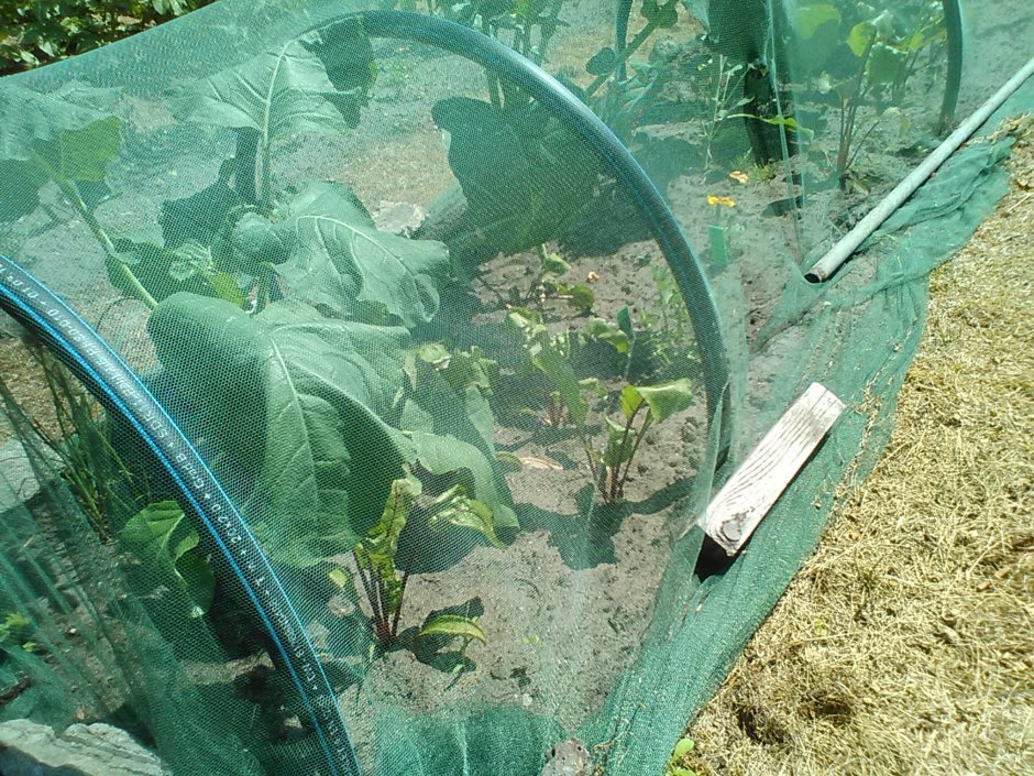 Сетка Агросетка