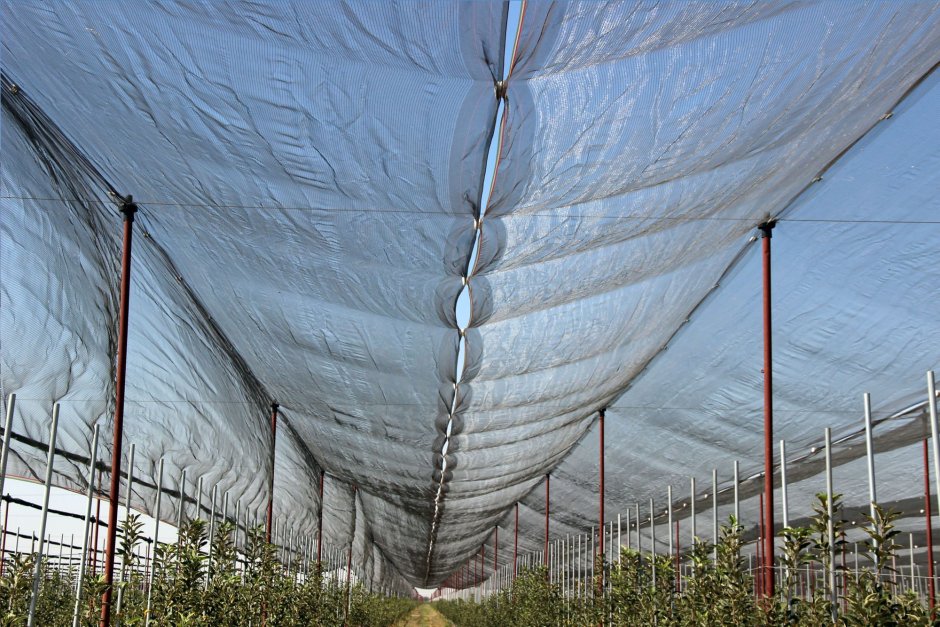 Противоградовая сетка