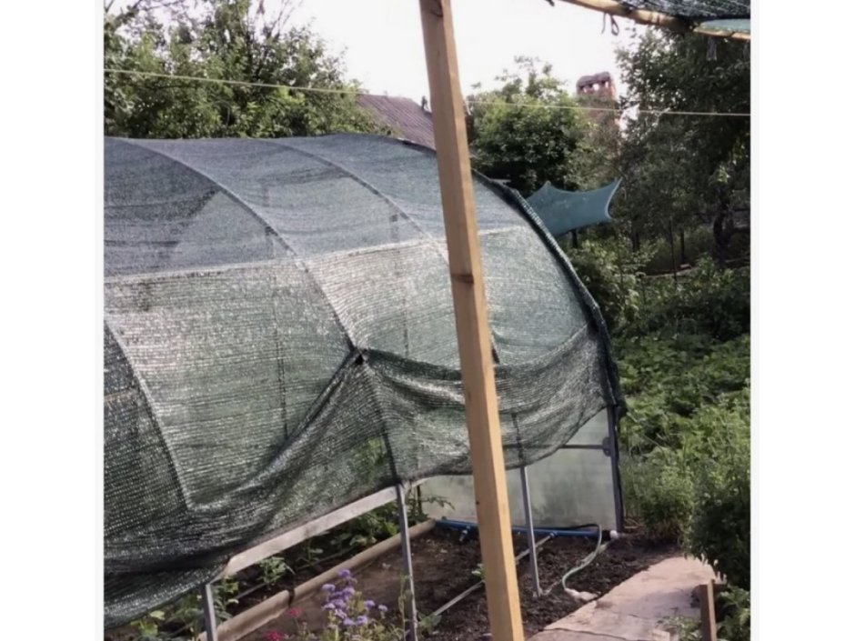 Затеняющая сетка для овощей