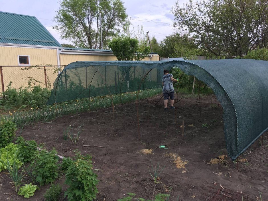 Грядки с навесом