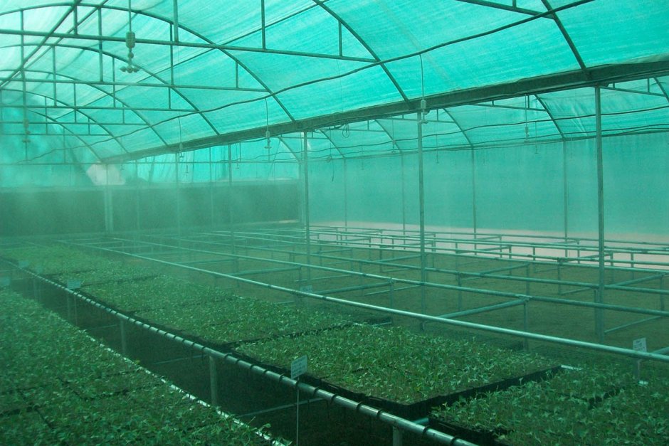 Затеняющая сетка для теплиц