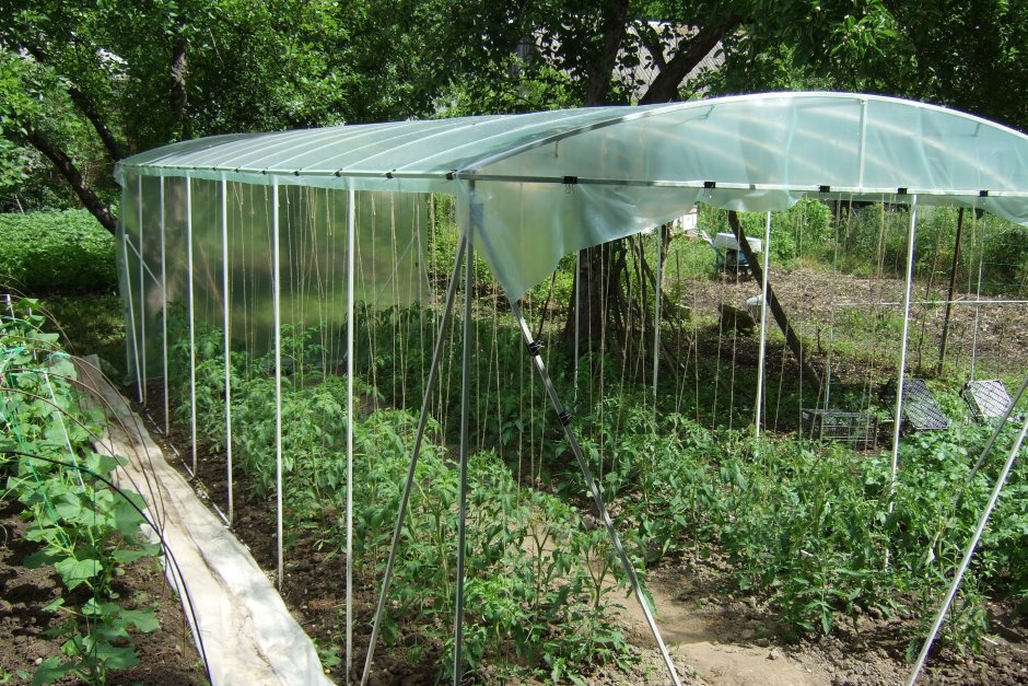 Навес для помидор