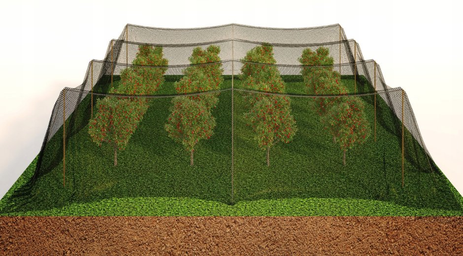 Сетка для укрытия деревьев от птиц