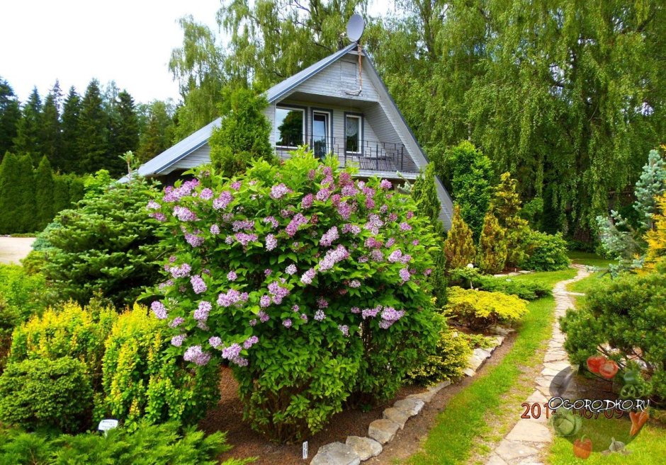 Сады в русских усадьбах