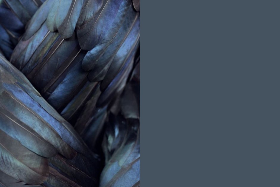 Сочетание цвета индиго