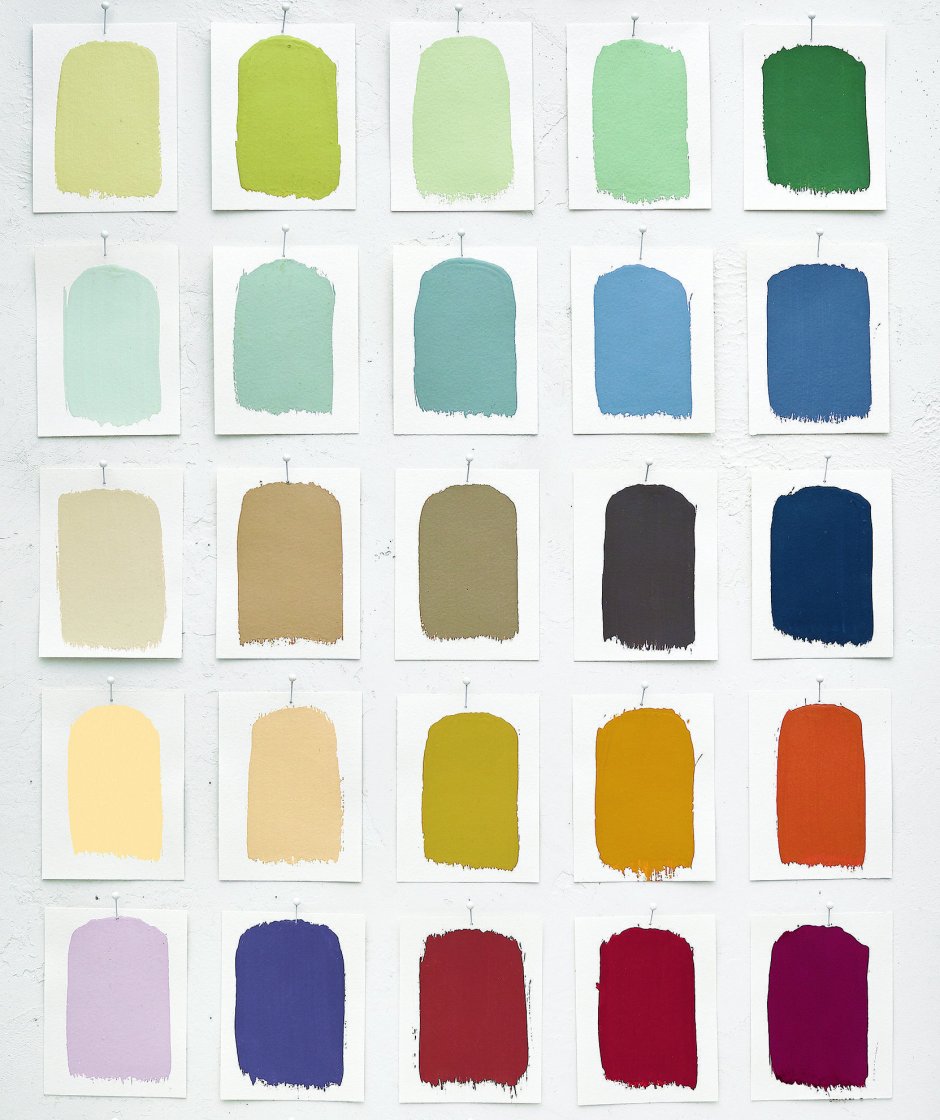 Палитра цветов для сыра