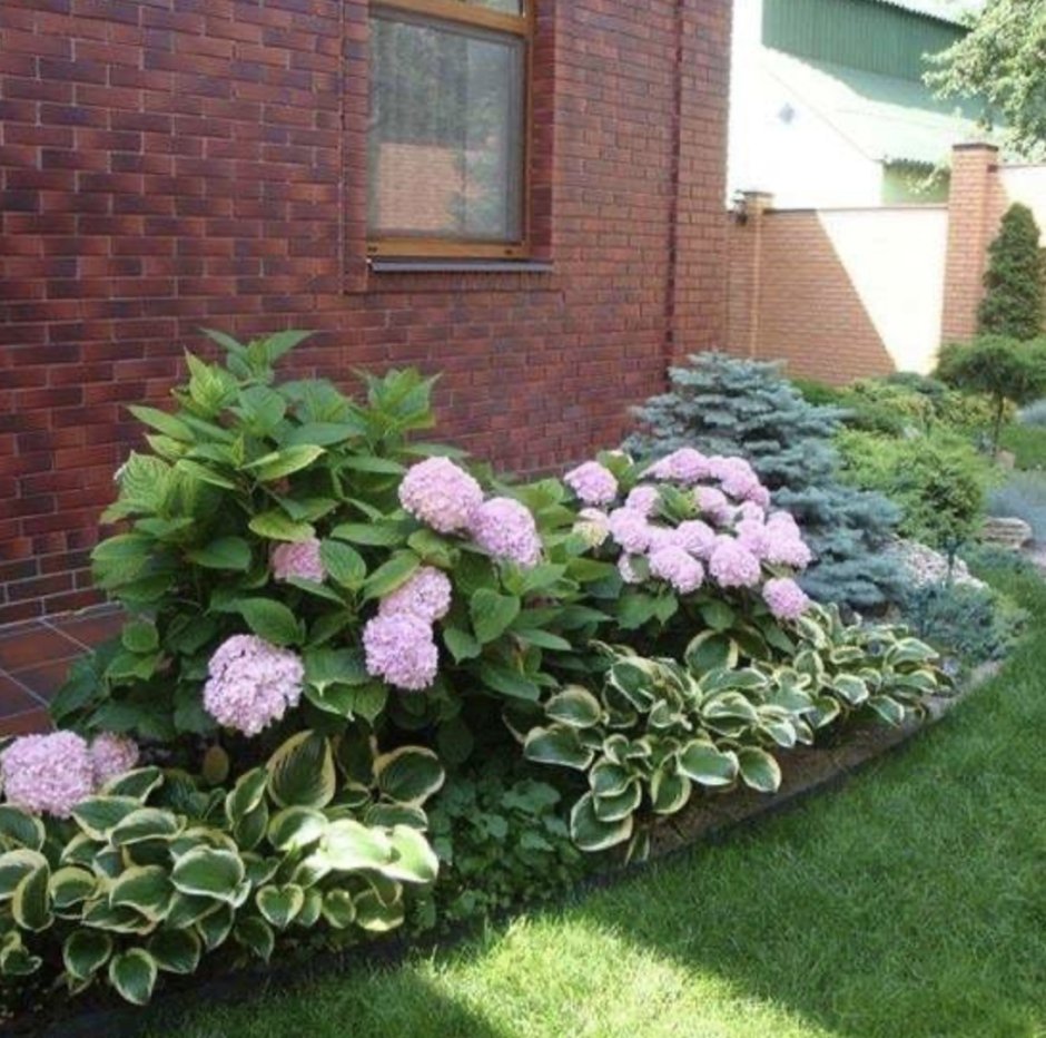 Клумба с гортензией и спиреей