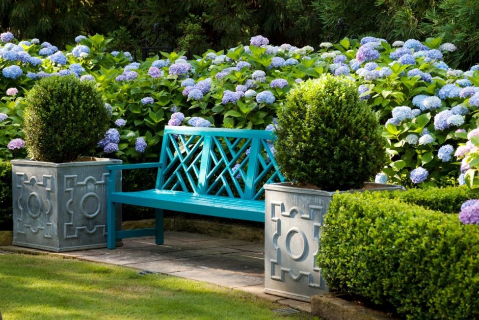 Сад гортензии лавочка