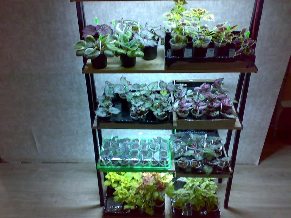 Стеллаж для растений с подсветкой для домашнего использования