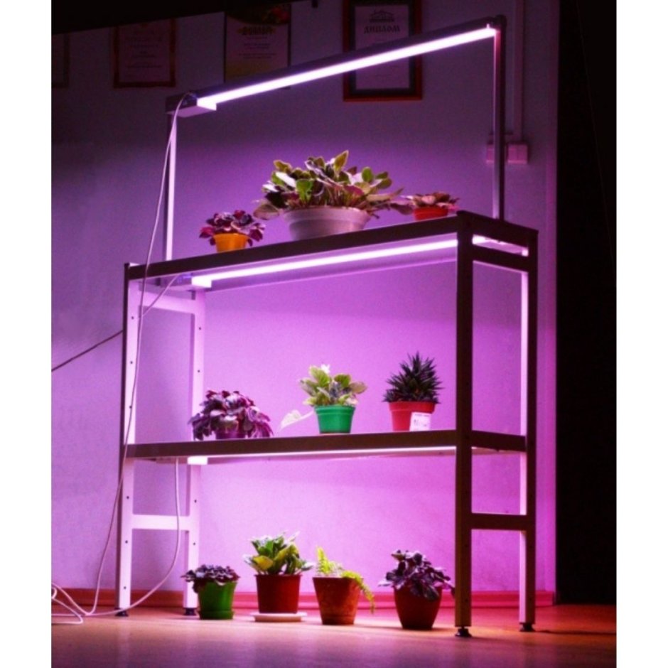 Светодиодный фитосветильник "Петромаш led-30"