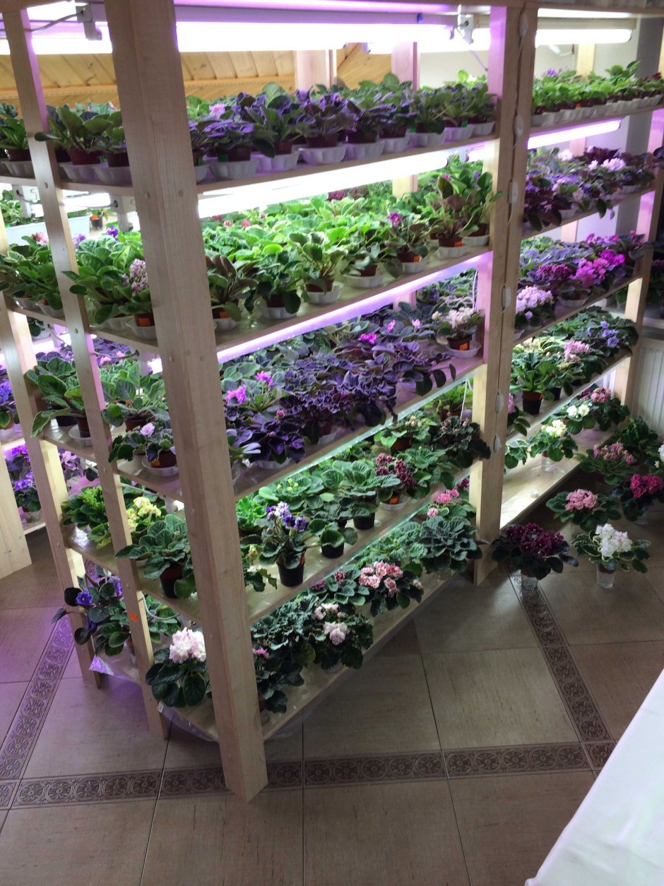 Полки для цветов напольные