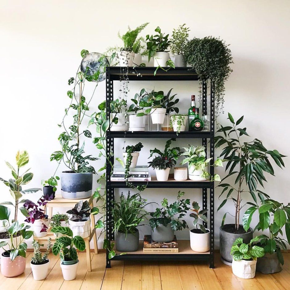 Полки для цветов на подоконник