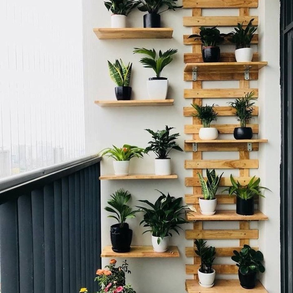 Стеллаж Хедера для растений и рассады