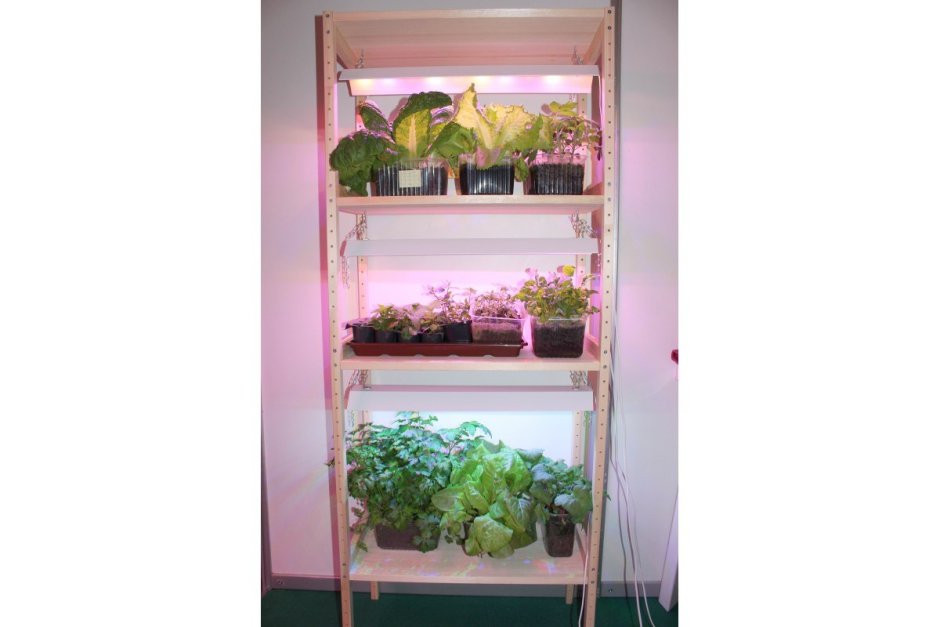 Стеллаж для рассады на подоконник фитосад-300 на 3 фитолампы