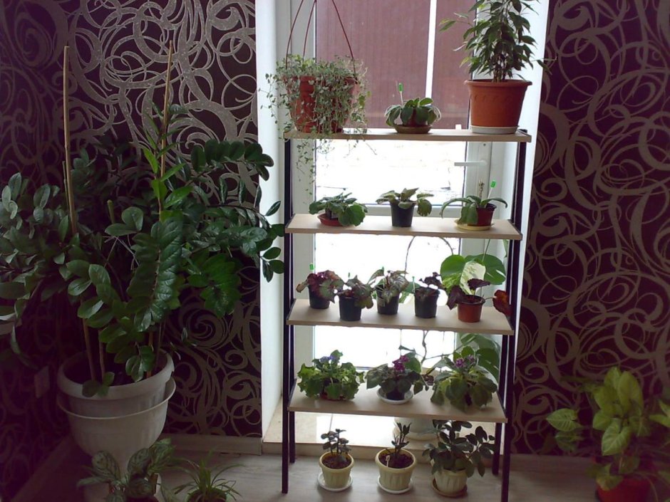 Стеллаж для растений