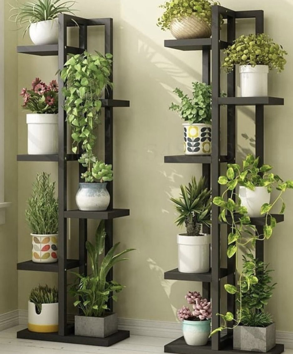 Полки стеллажи для фиалок