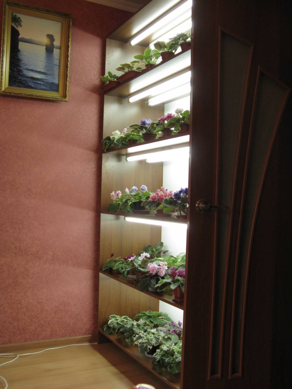 Необычные полки для цветов