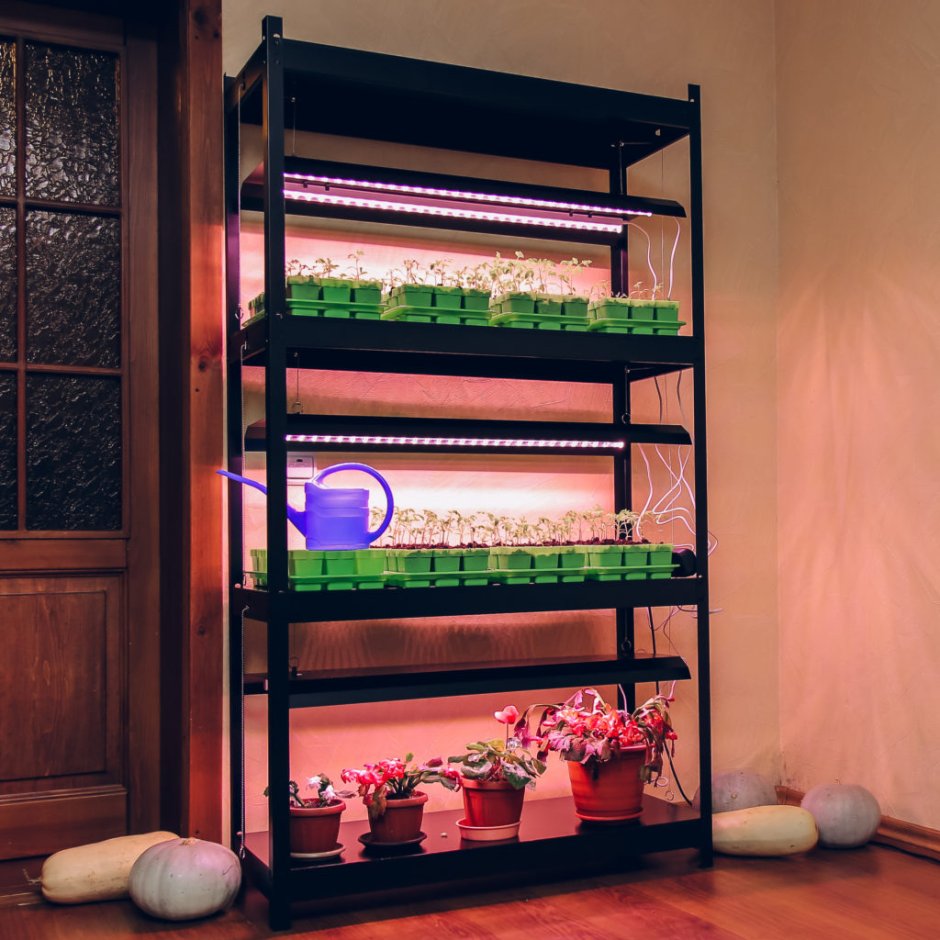 Полки для цветов с подсветкой