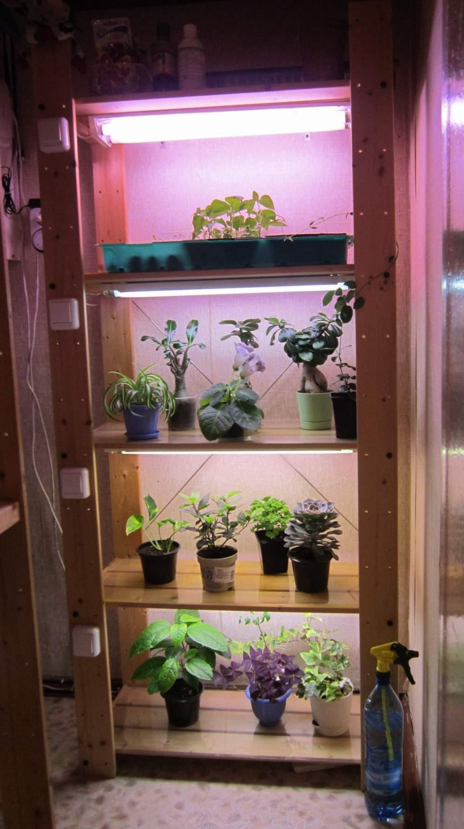 Стеллаж для цветов