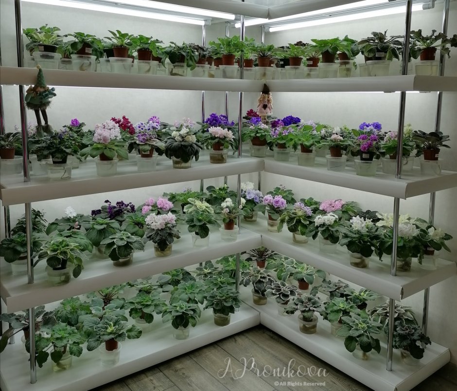 Стеллаж для цветов с подсветкой