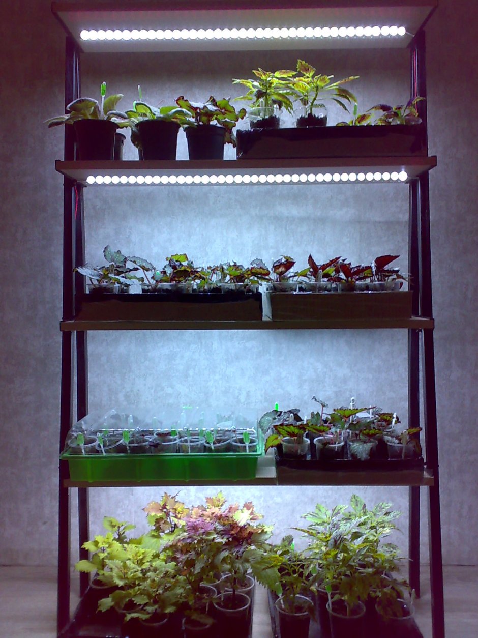 Стеллаж для цветов с подсветкой