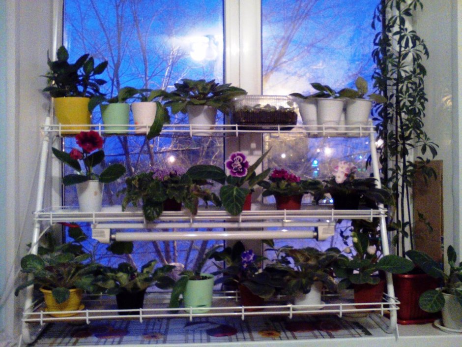 Полки для цветов