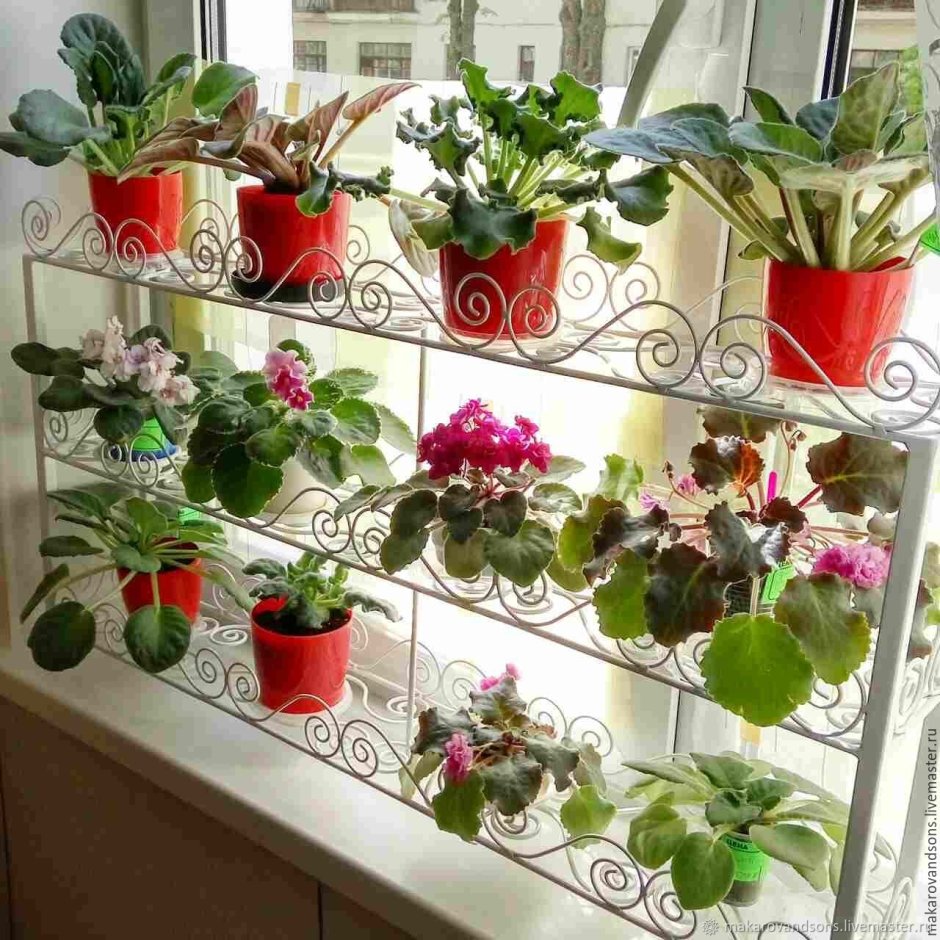 Вертикальное Озеленение Леруа Мерлен