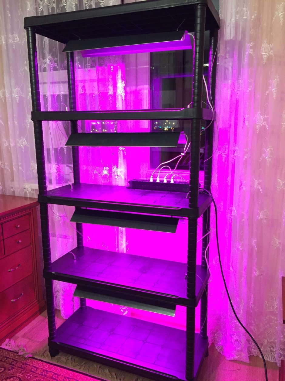 Стеклянные полки для цветов